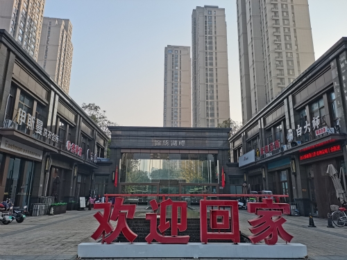 徐州锦绣湖畔李女士除甲醛治理